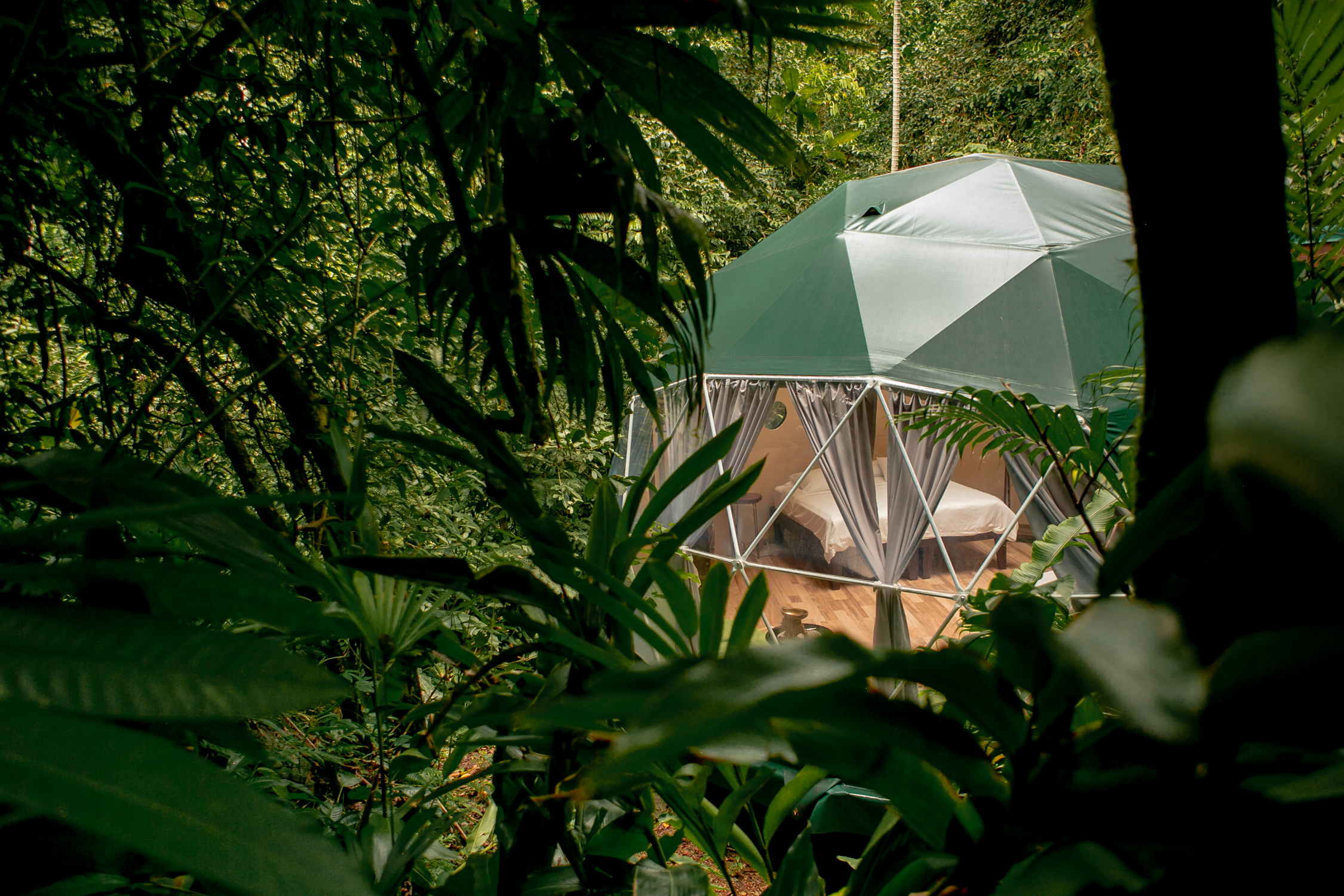 dome1